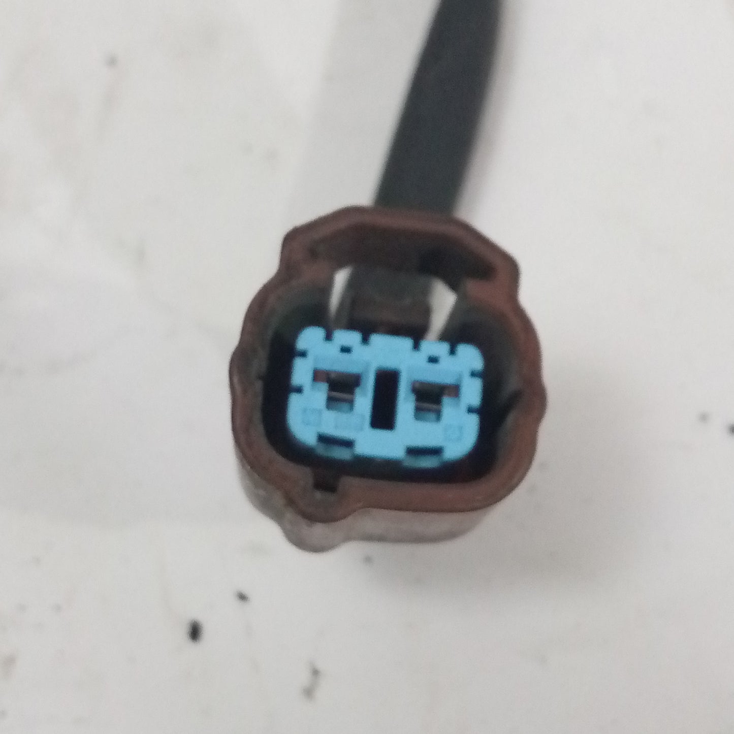 Conector Selenoide Honda